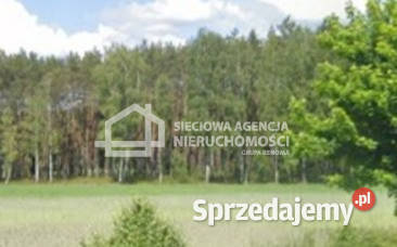 Do sprzedaży działka 428m2 Osiek