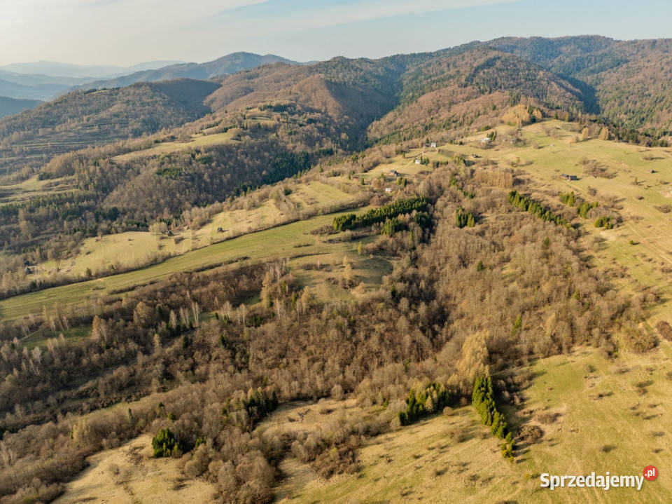 Szukasz prywatnego azylu w sercu Pienin Szczawnica