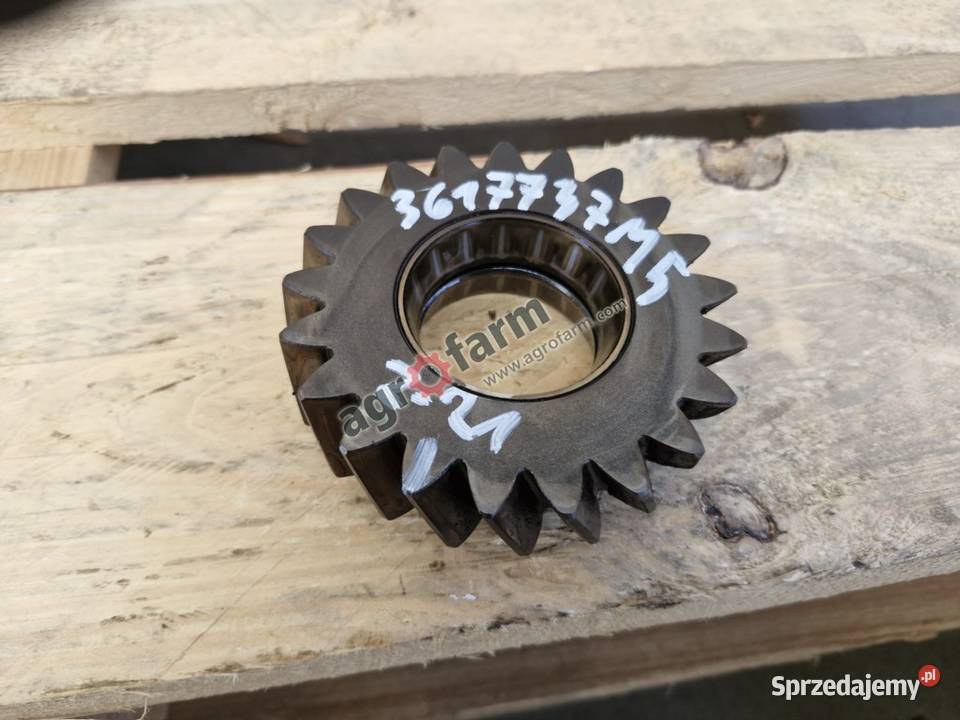 Koło zębate Massey Ferguson 8110 8210 8250 Byków