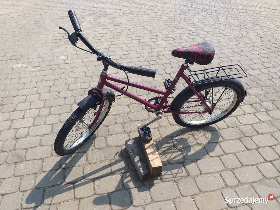 Rower na kołach 20 Dziecięce