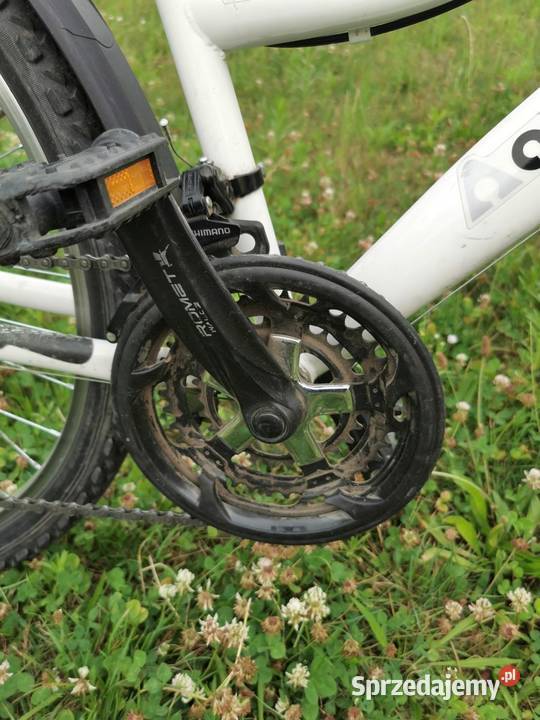Rower miejski damka Active Leader koła 26 dolnośląskie Wrocław sprzedam