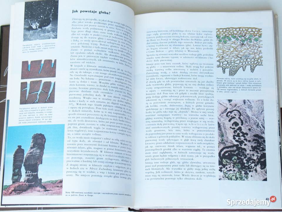 Larousse Ziemia Rośliny Zwierzęta małopolskie Kraków