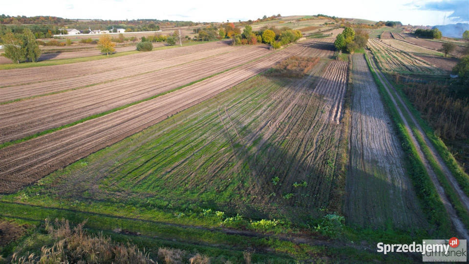 Sprzedam działka 4011m2 Lipowiec