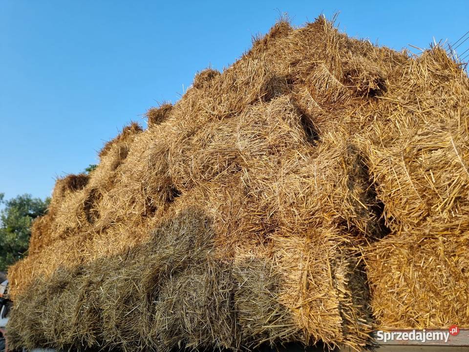 Słoma w kostkach śląskie Wieszowa