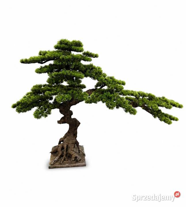Sztuczne drzewko bonsai 100 x 140 kompaktowe Golkowice sprzedam