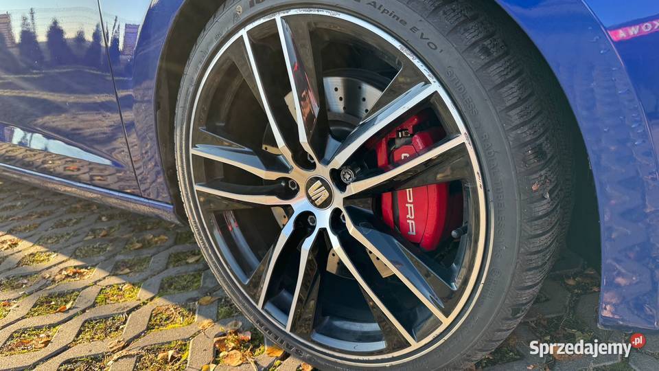 Seat Leon Seat Leona Cupra 20 TSI 300 DSG wielkopolskie Kalisz