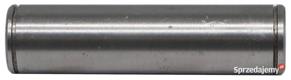 SWORZEŃ SZCZĘKI HAMULCA HL8011 FI 32x124mm 0869