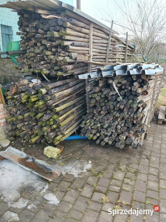 Paliki sadownicze 3m impregnowane Rolnictwo Rożki