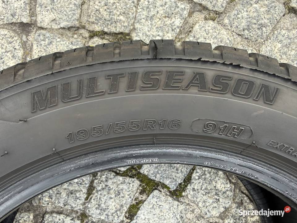 Para opon calorocznych Firestone Multiseason