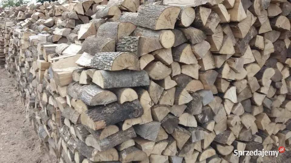 Drewno liściaste iglaste wielkopolskie