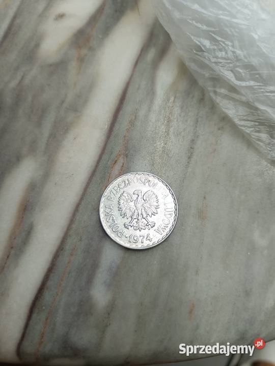 1 polskie wielkopolskie Rawicz