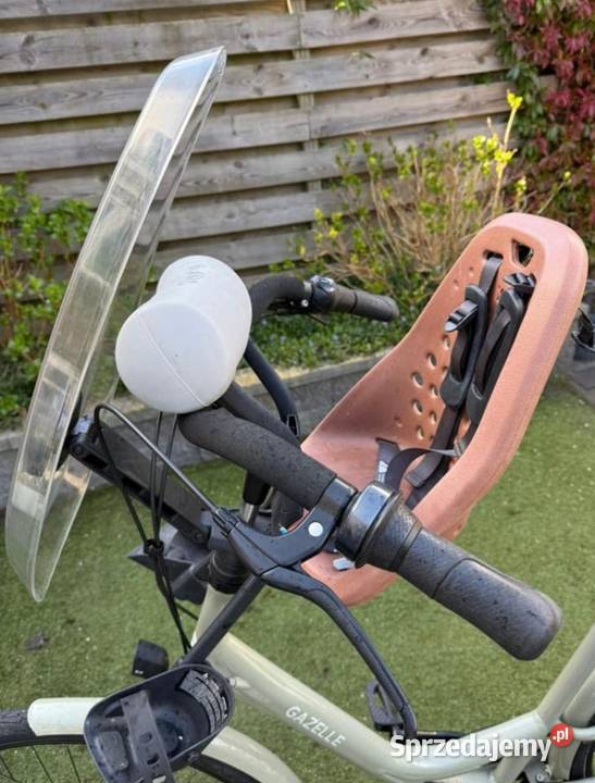Thule Yepp Nexxt mini przedni fotelik rowerowy Gogolin