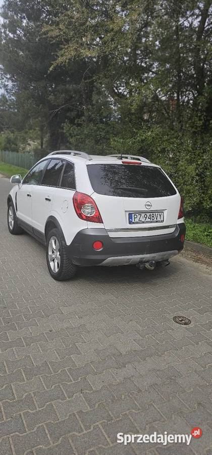 Opel Antara diesel Poznań sprzedam