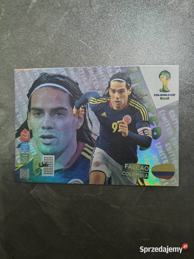 PANINI FIFA WORLD CUP BRASIL 2014 Pozostałe Kraków sprzedam