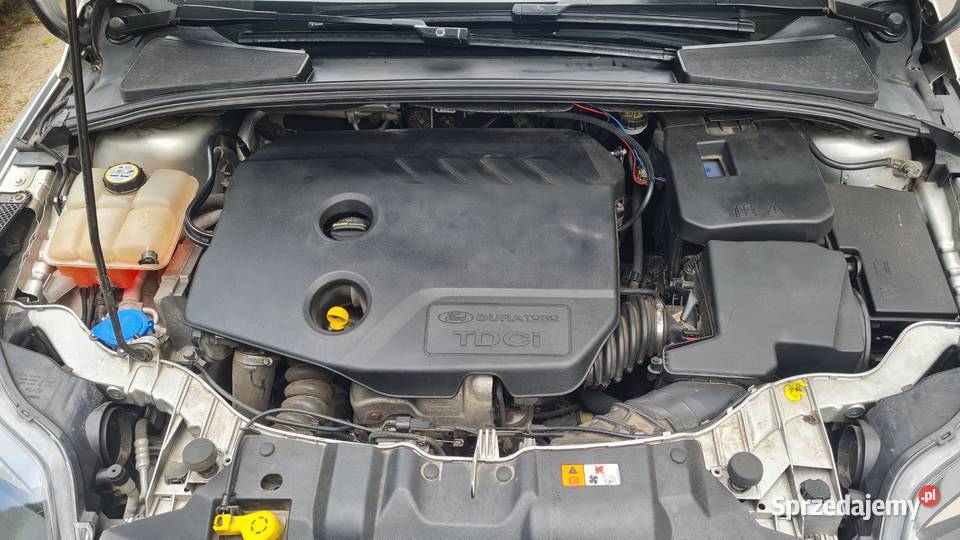 Ford Fokus MK3 Motoryzacja Poznań sprzedam
