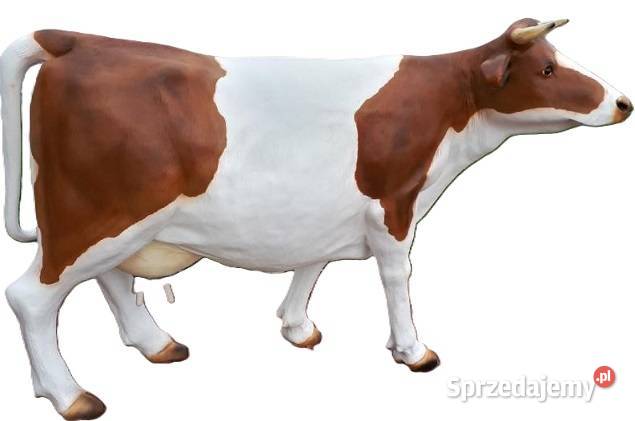 Krowa do dojenia sztuczna fantom festyny inwenty dożynki