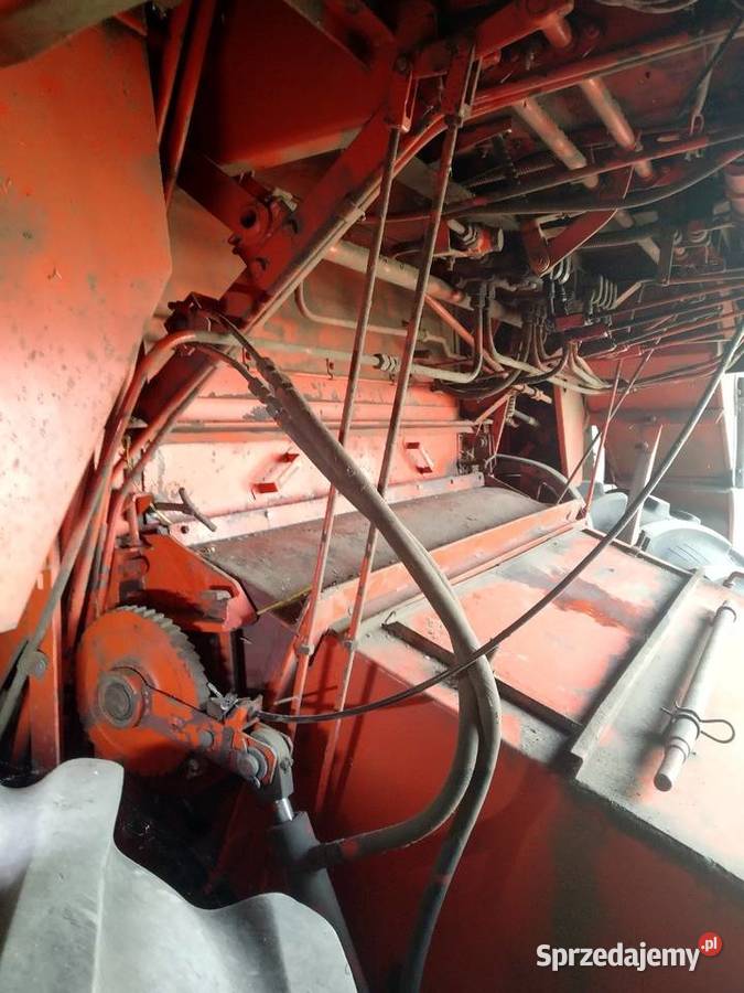 Bizon Z056 Stryjewo Wielkie