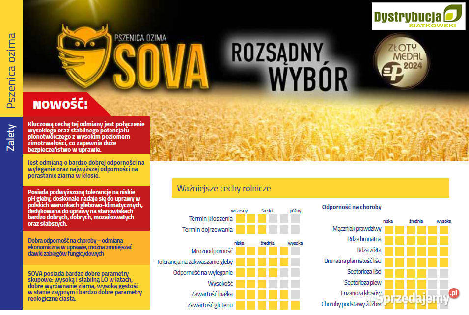 Kwalifikowane nasiona siewne pszenica ozima SOVA Strubno