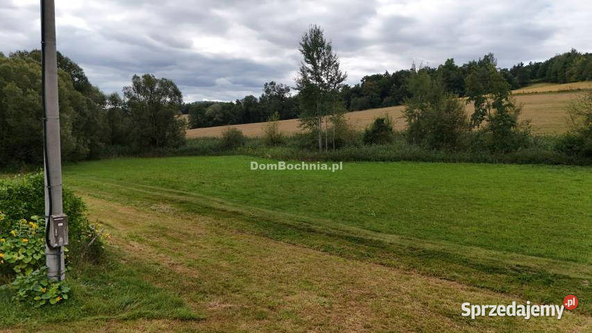 Grunt Gruszów 6200m2 6200m2