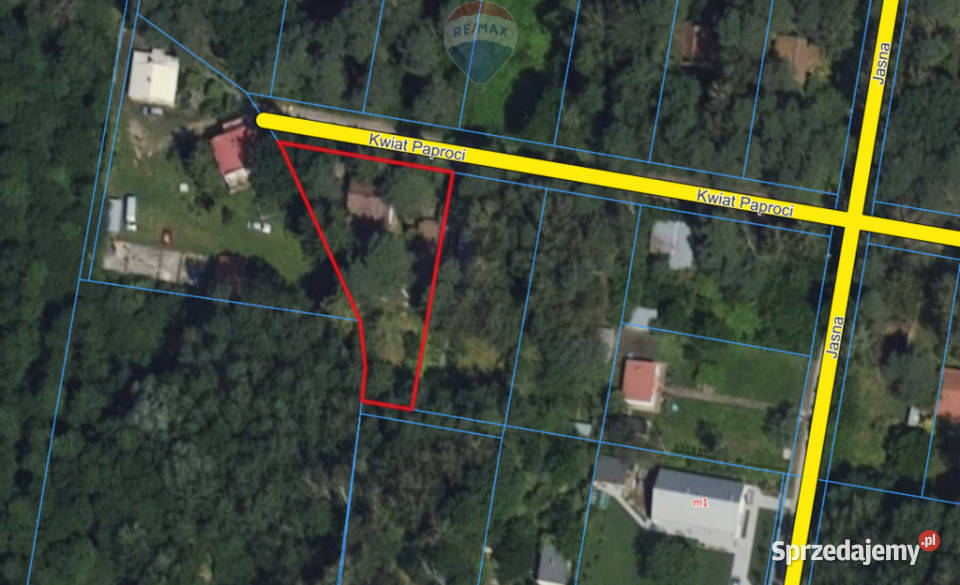 Działka zabudowana Zalesie Górne Kwiat Paproci