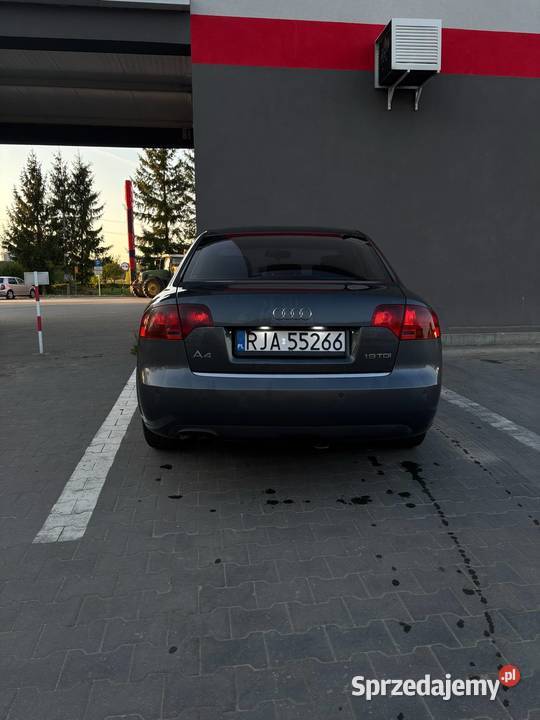 Audi a4 b7 19tdi 2005r diesel Pruchnik