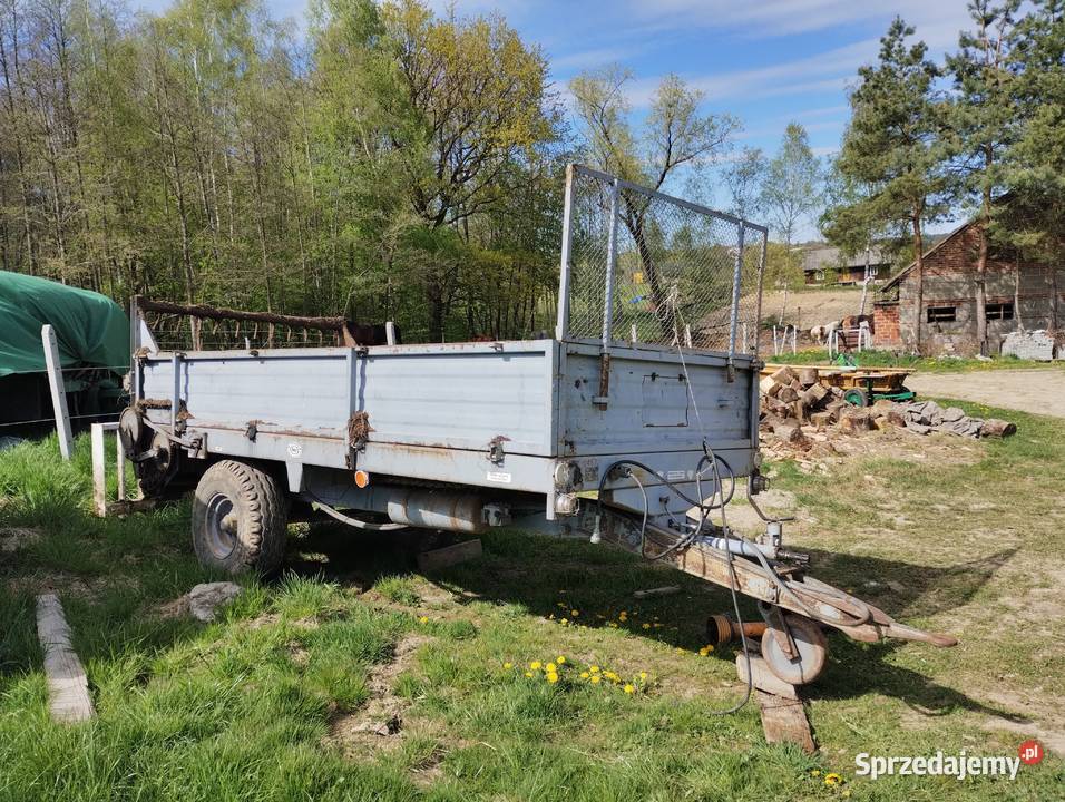 Rozrzutnik podkarpackie Chmielnik