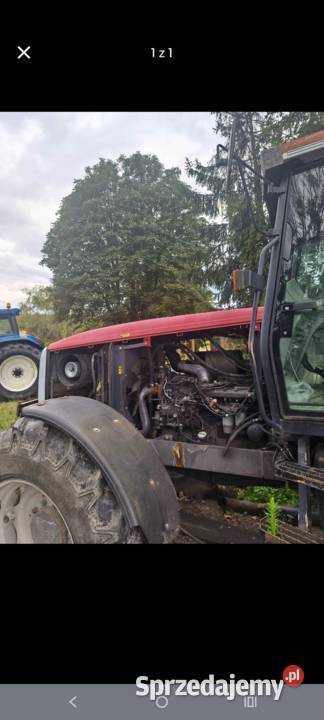 Massey Ferguson 8150 Kiełczów sprzedam