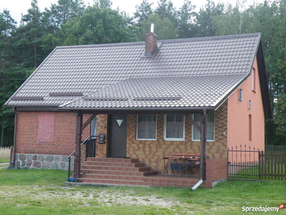 Domek pod lasem w Borach Tucholskich Domy kujawsko-pomorskie Brzozie sprzedam