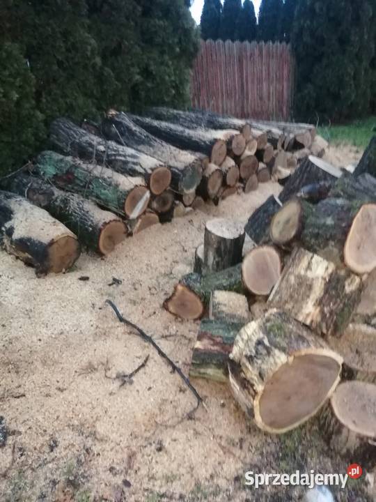 Transport drewna dolnośląskie Wrocław