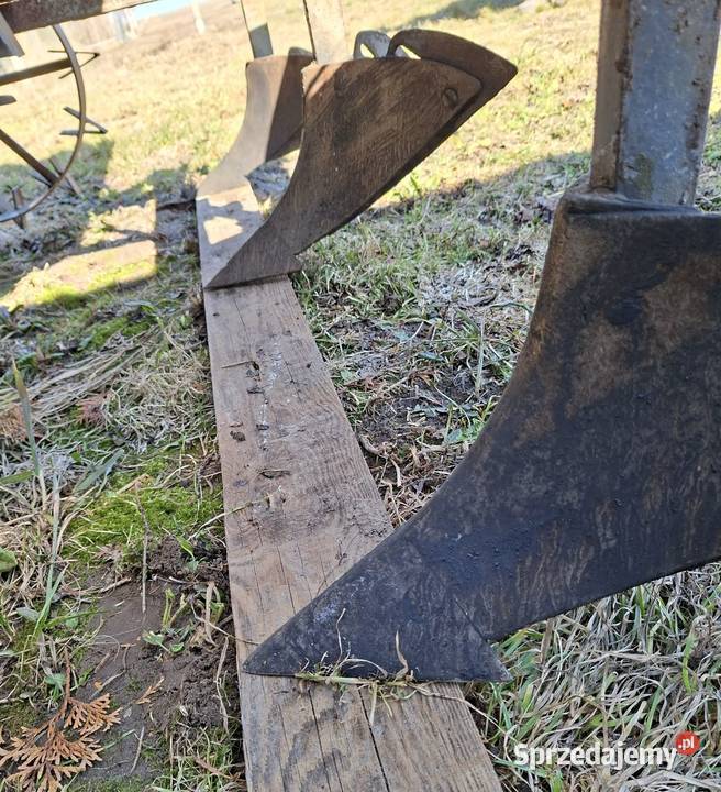 Sadzarka do ziemniaków świętokrzyskie Ożarów