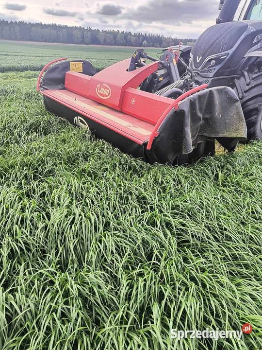 DSV mieszanka Gorzowska poplonowa na słabe gleby Pozostałe pomorskie Kartuzy