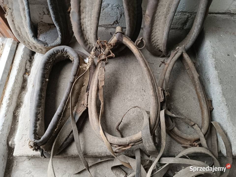 Zabytkowe akcesoria konne chomąto uprząż homonto podkarpackie Rzeszów sprzedam