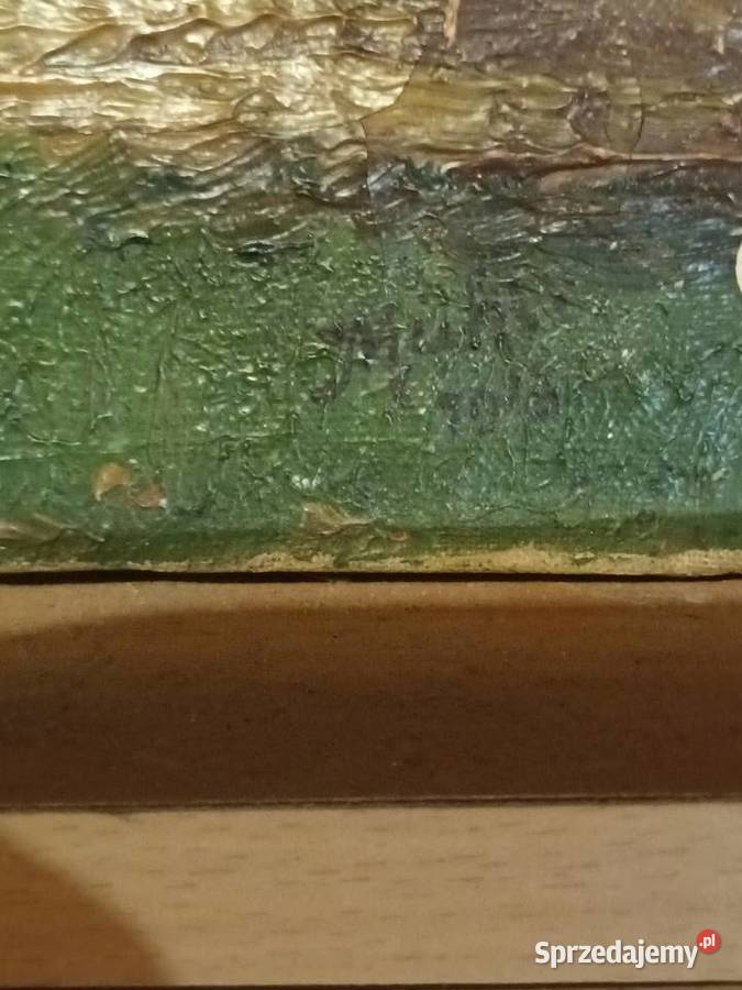 Wiejska droga na Śląsku