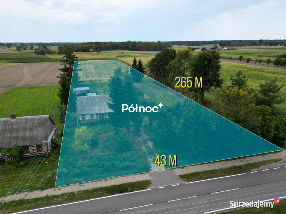Siedlisko 11 ha w Kozłach Kozły