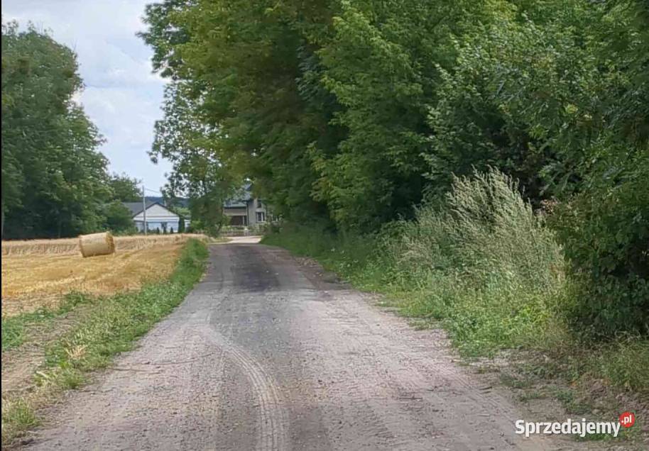 Udział w nieruchomości gruntowej syndyka Nieborzyn