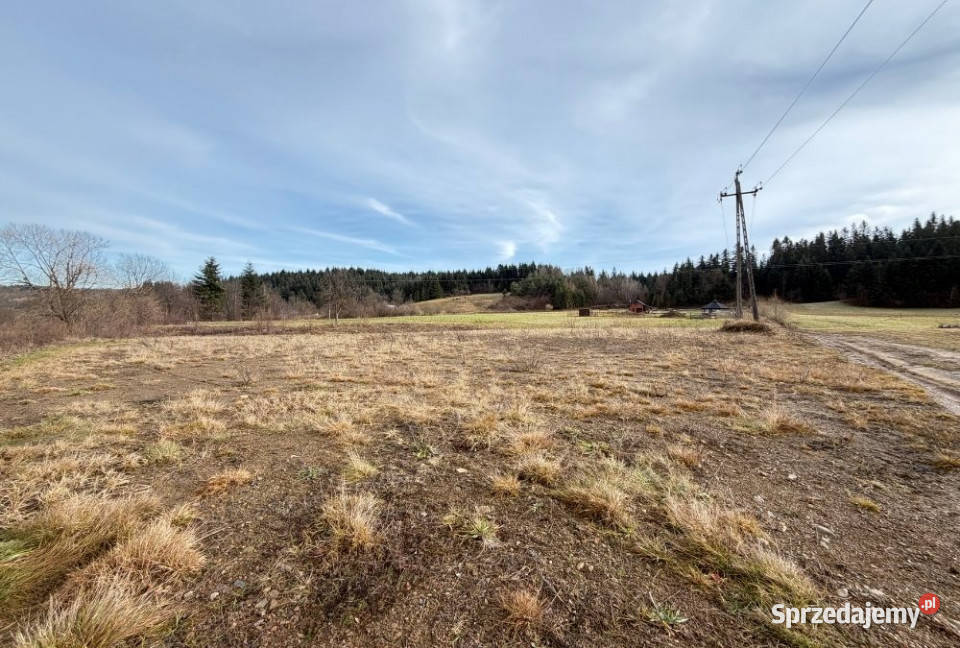 Grunt Zahoczewie 4006m2