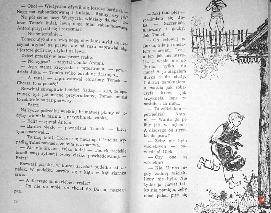 Wyspa strachów Mikołaj Dubow Rok wydania 1974 Chełm