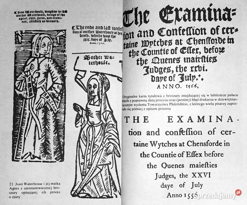 Umysł poza czasem Na tropach reinkarnacji Ian Chełm