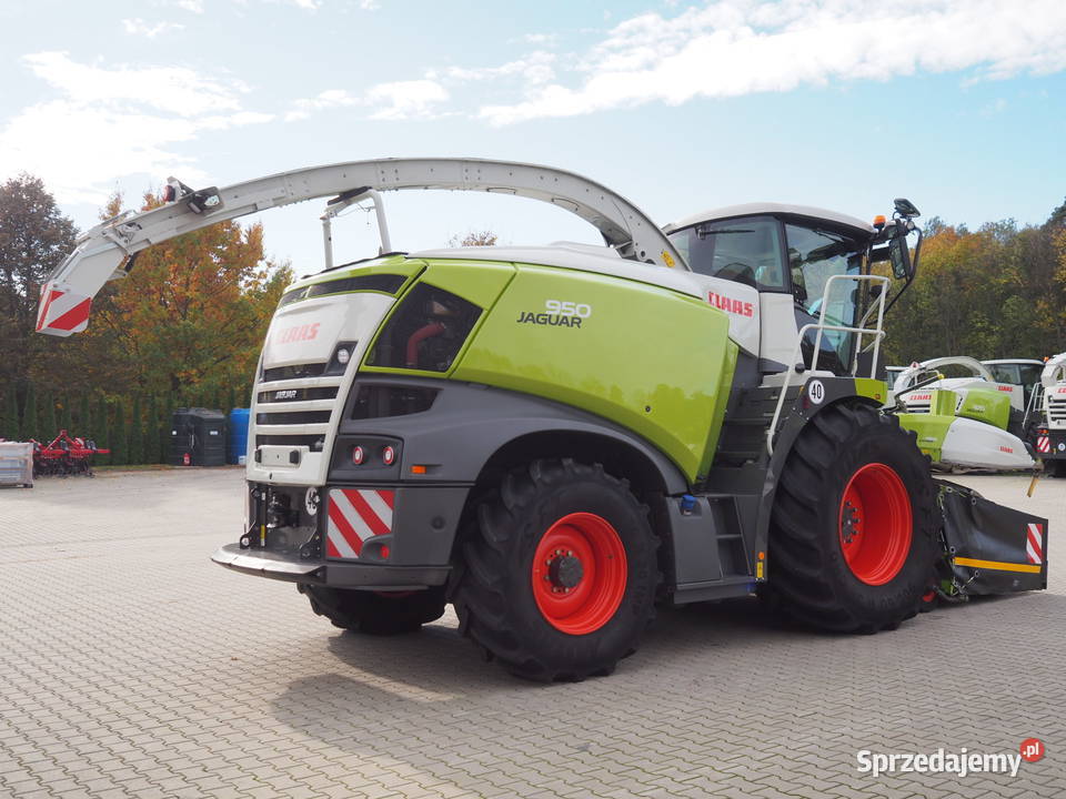 Claas Jaguar 950 4WD Orbis 750 Sieczkarnia Claas Stęszew