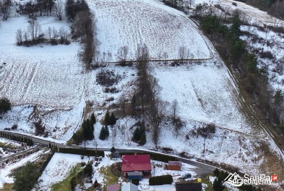 Grunt Turzańsk 2404m2