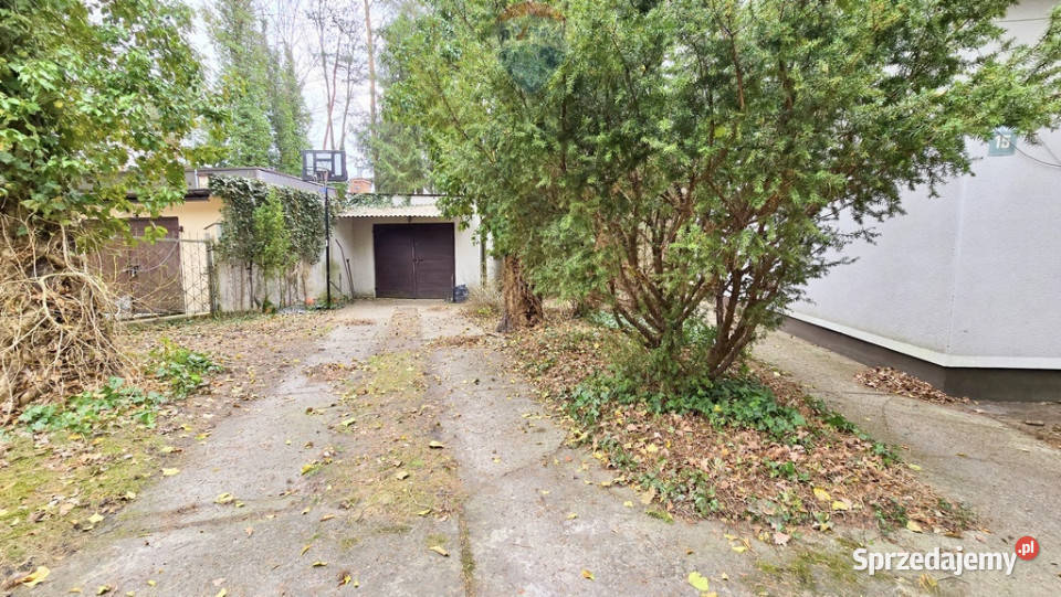 Działka zabudowana Zalesie Górne Kwiat Paproci