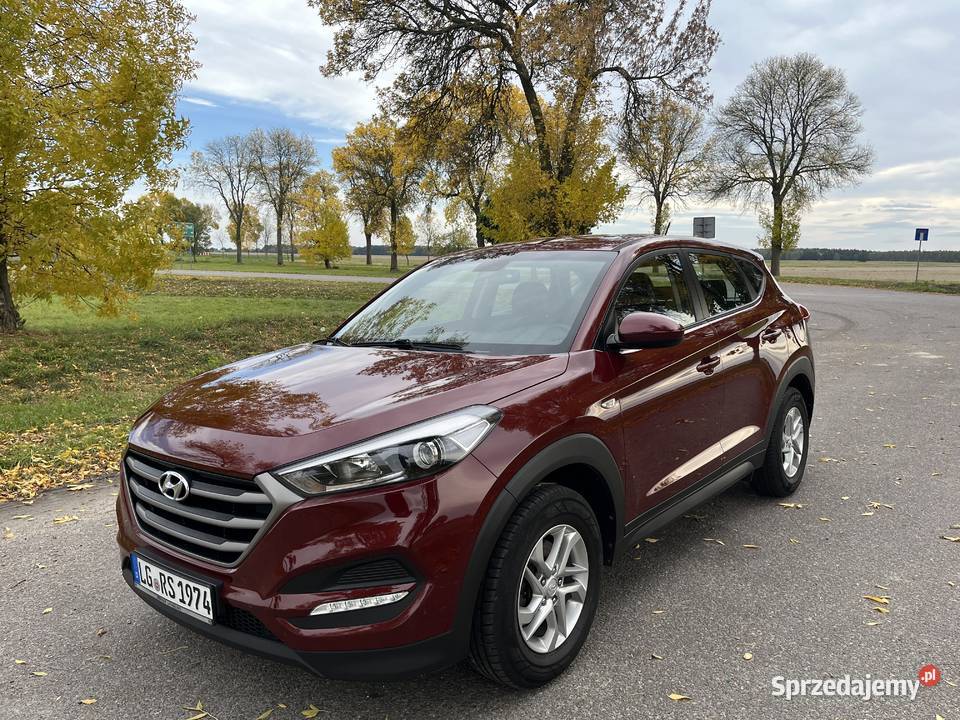 Hyundai Tucson 2016 Radzyń Podlaski