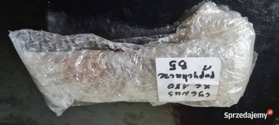 Yamaha Cygnus XC 180 popychacze elemety głowicy Warszawa