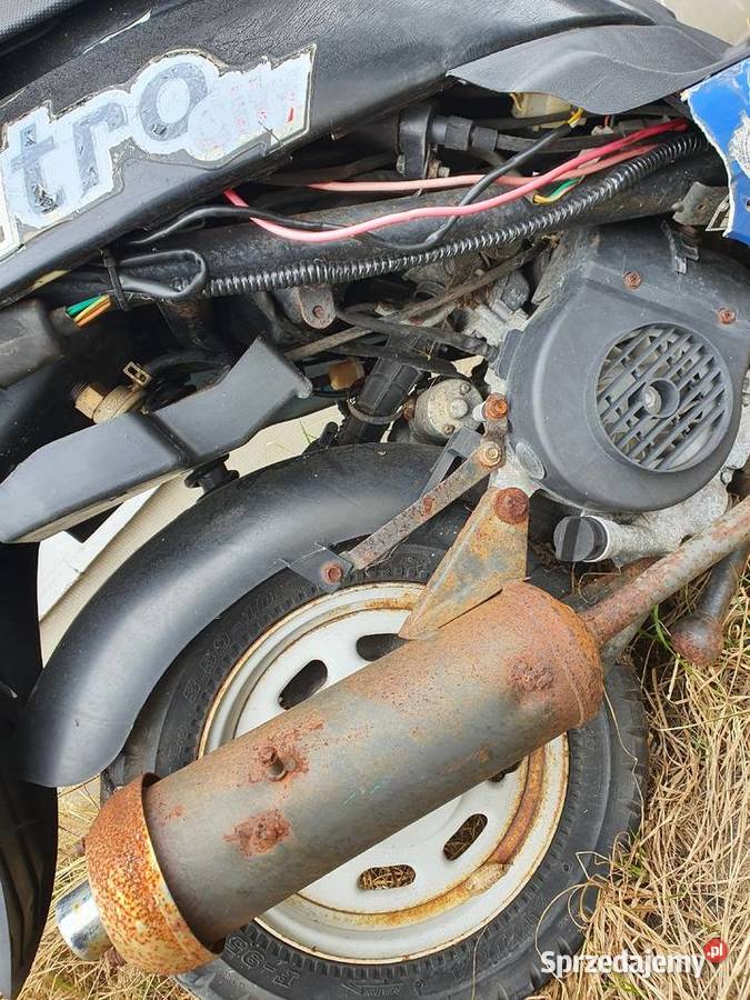 Skuter router podkarpackie Kolbuszowa