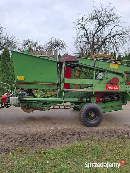 Kombajn ziemniaczany Hassia Kijany