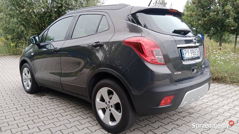 Pełen Carpass Zarejestrowany manualna wielkopolskie Poznań