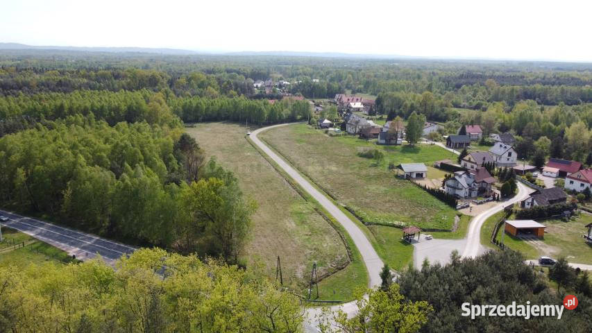 sprzedaży gruntu 17500m2 RudyRysie asfalt Nieruchomości