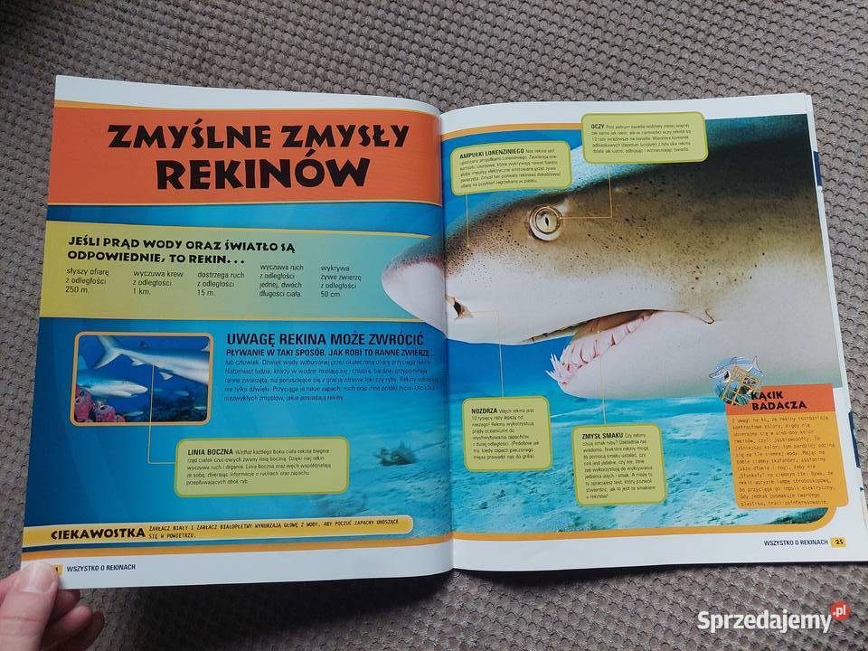 National Geographic Kids Wszystko o rekinach Rok wydania 2011