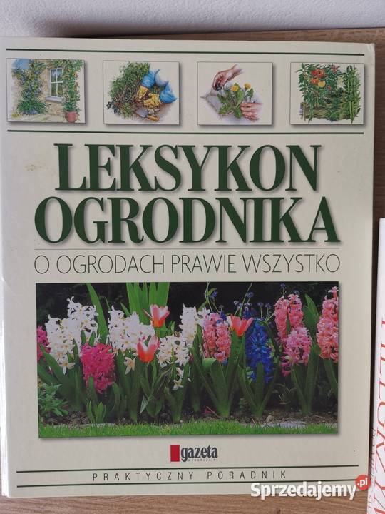 3 segregatory o różnej tematyce Myślenice