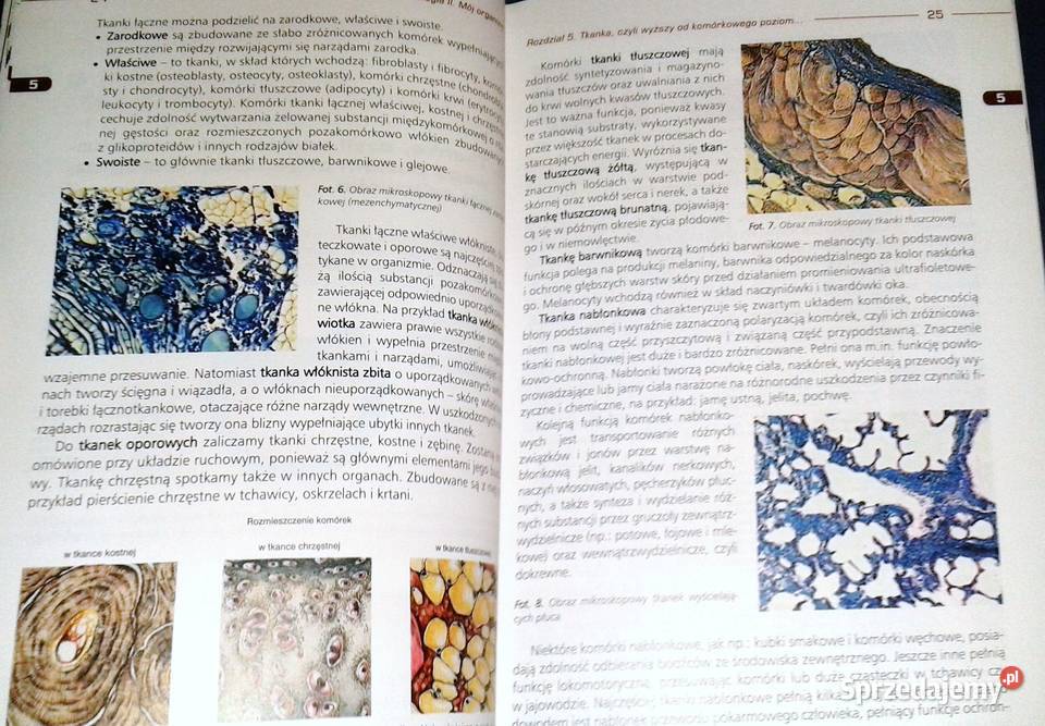 Biologia 2 Mój organizm Podręcznik LO i tech Jan Chełm